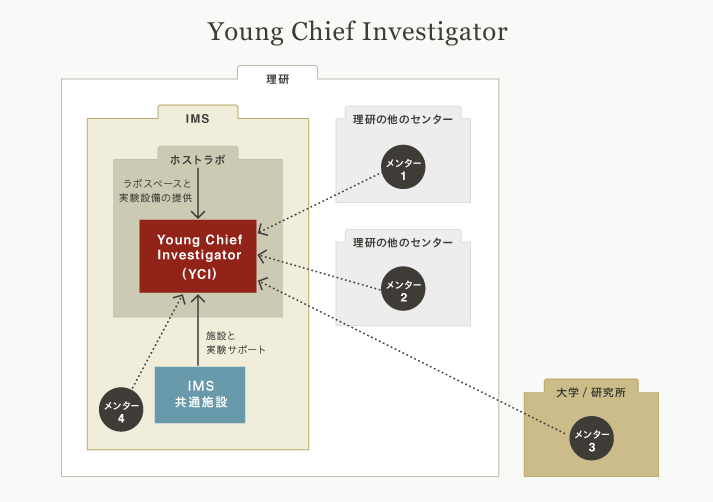 Young Chief Investigator説明図