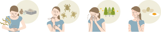 アレルギーは免疫反応の一種の説明図