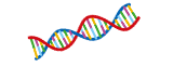 IMSが公開・登録したヒトゲノム解析データの一覧