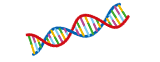 List of analyzed human genome data the IMS has published and registered