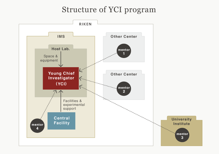 figure of Young Chief Investigator