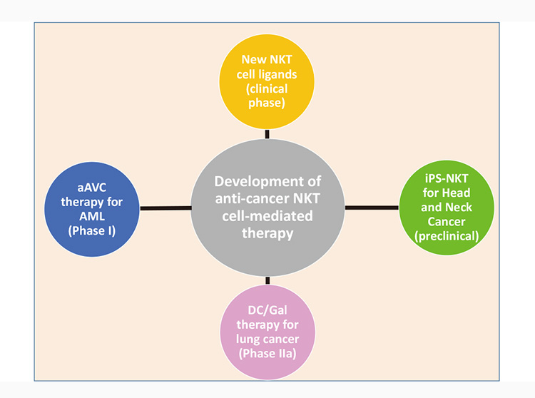 figure of NKT cell-mediated anti-cancer projects in IMS as translational research