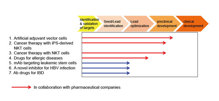 figure of Collaboration between IMS and DMP for the development of innovative new pharmaceuticals and medical technologies