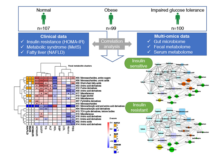 figure of Correlating clinical and multi-omics data to identify biomarkers involved in the pathogenesis of type 2 diabetes mellitus