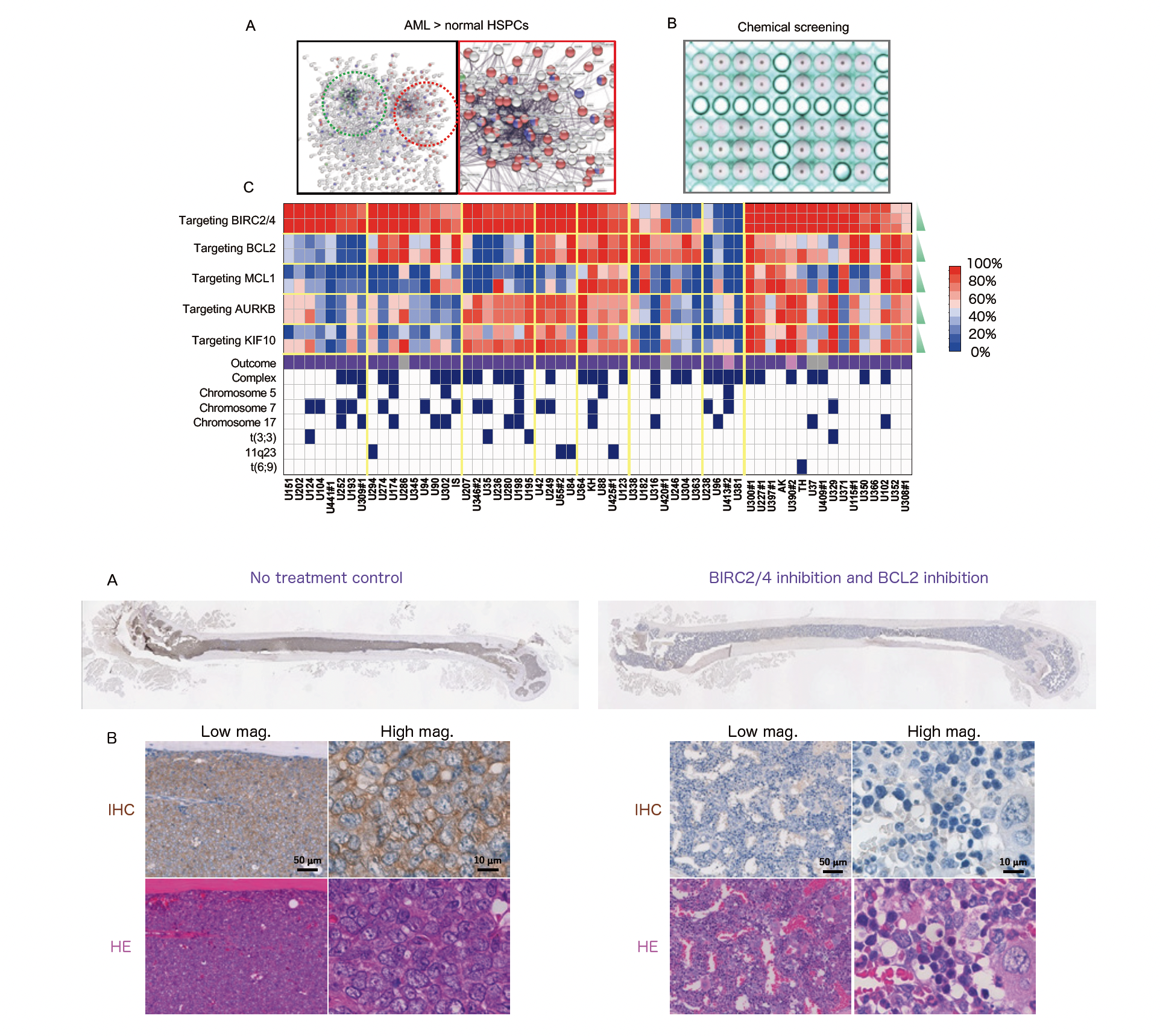 Integration of genetic information into immune functions: The eQTL project