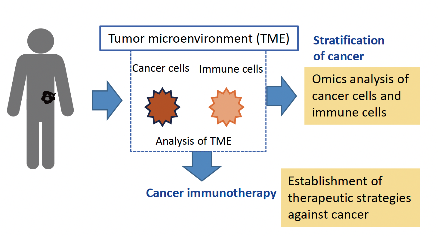 Cancer Immunology