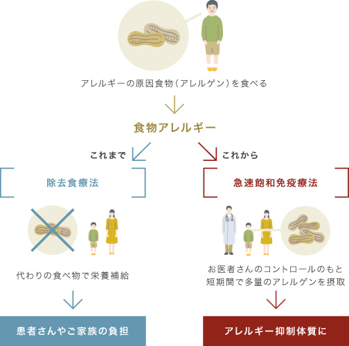 食物アレルギーの完治を目指しての説明図