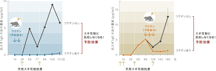 抗スギIgEの血中濃度図