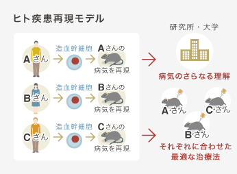 ヒト疾患再現モデルの説明図