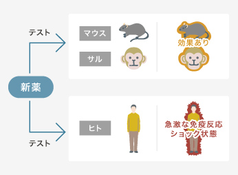 薬剤の安全性テストの説明図