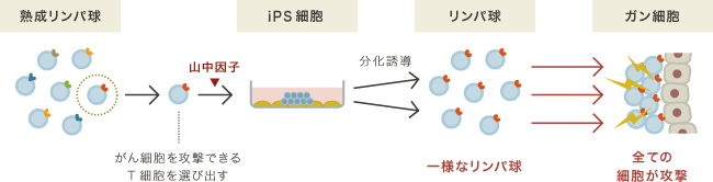 私たちが開発中の新しい技術の説明図