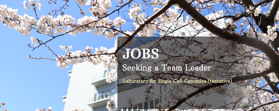 JOBS