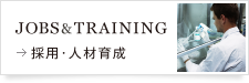 JOBS & TRAINING 採用・人材育成